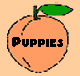See our pups