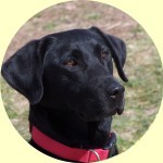 skye